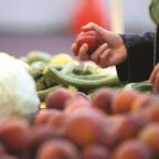  Plastica riciclata, nuove norme Ue per l’uso negli imballaggi alimentari