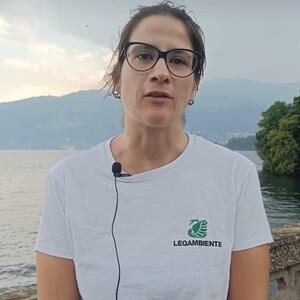 Elisa Scocchera