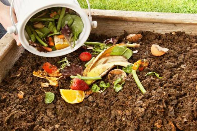 Compost, Cic: “Rigenerare il verde delle città attraverso lo urban carbon farming”